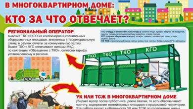 Photo of Значение правильной организации вывоза мусора